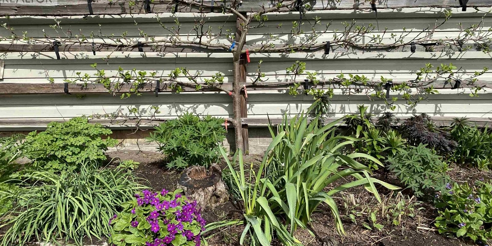 6237 NELSON ROAD Terrace Photo 22 6237 NELSON ROAD Terrace Photo 22